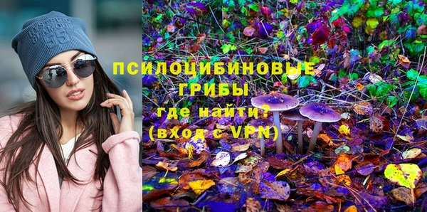 соль курить ск Богданович