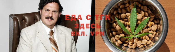 гидра Богородицк