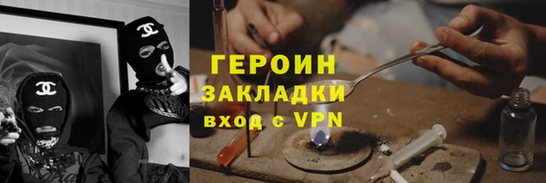 гидра Богородицк