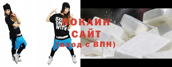 гидра Богородицк