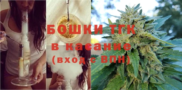 гидра Богородицк