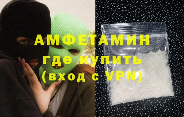 гидра Богородицк