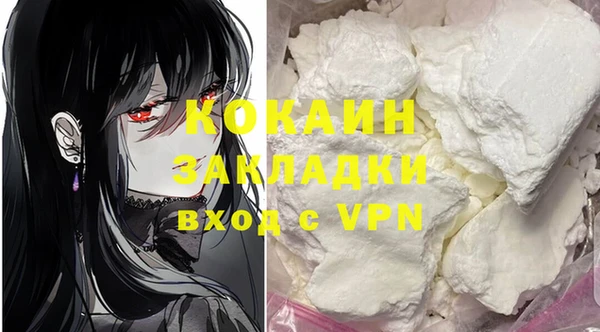 гидра Богородицк