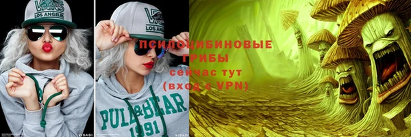 гидра Богородицк
