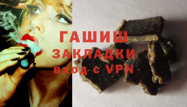 гидра Богородицк