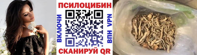 купить  цена  блэк спрут зеркало  Галлюциногенные грибы MAGIC MUSHROOMS  Тихорецк 